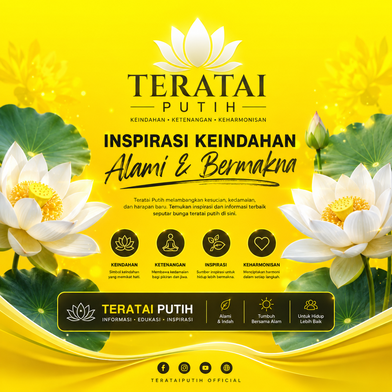 flower-terataiputih-3cb324.webp